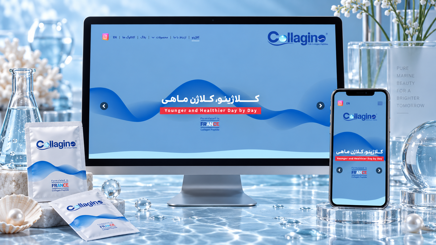شرکت کلاژینو